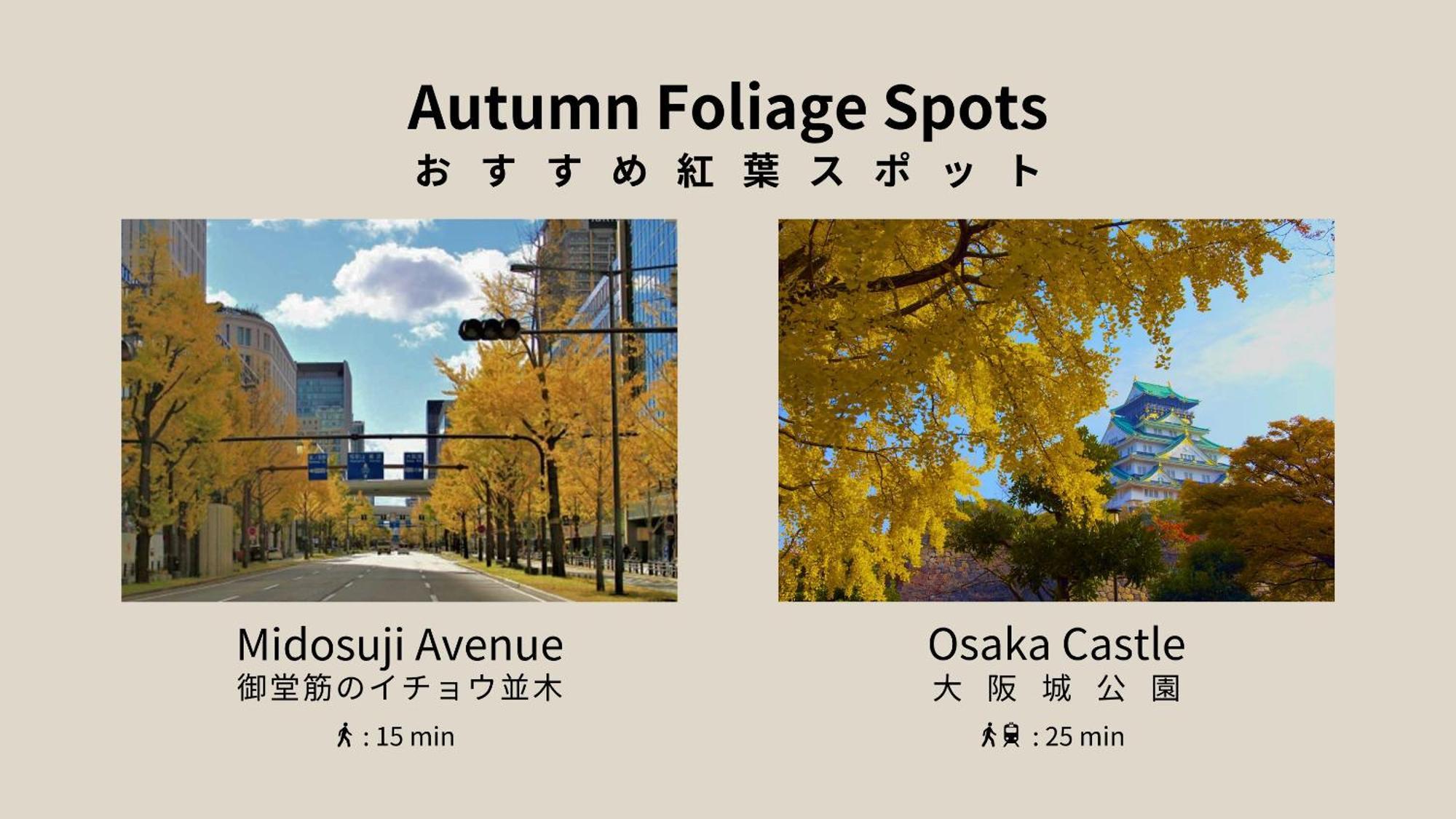 Forestay Shinsaibashi Osaka Buitenkant foto